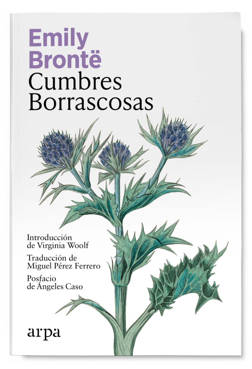 Cumbres Borrascosas