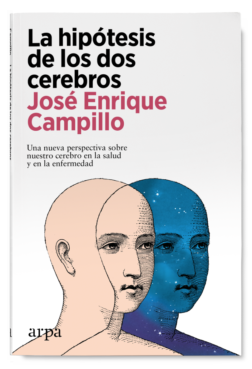 La hipótesis de los dos cerebros