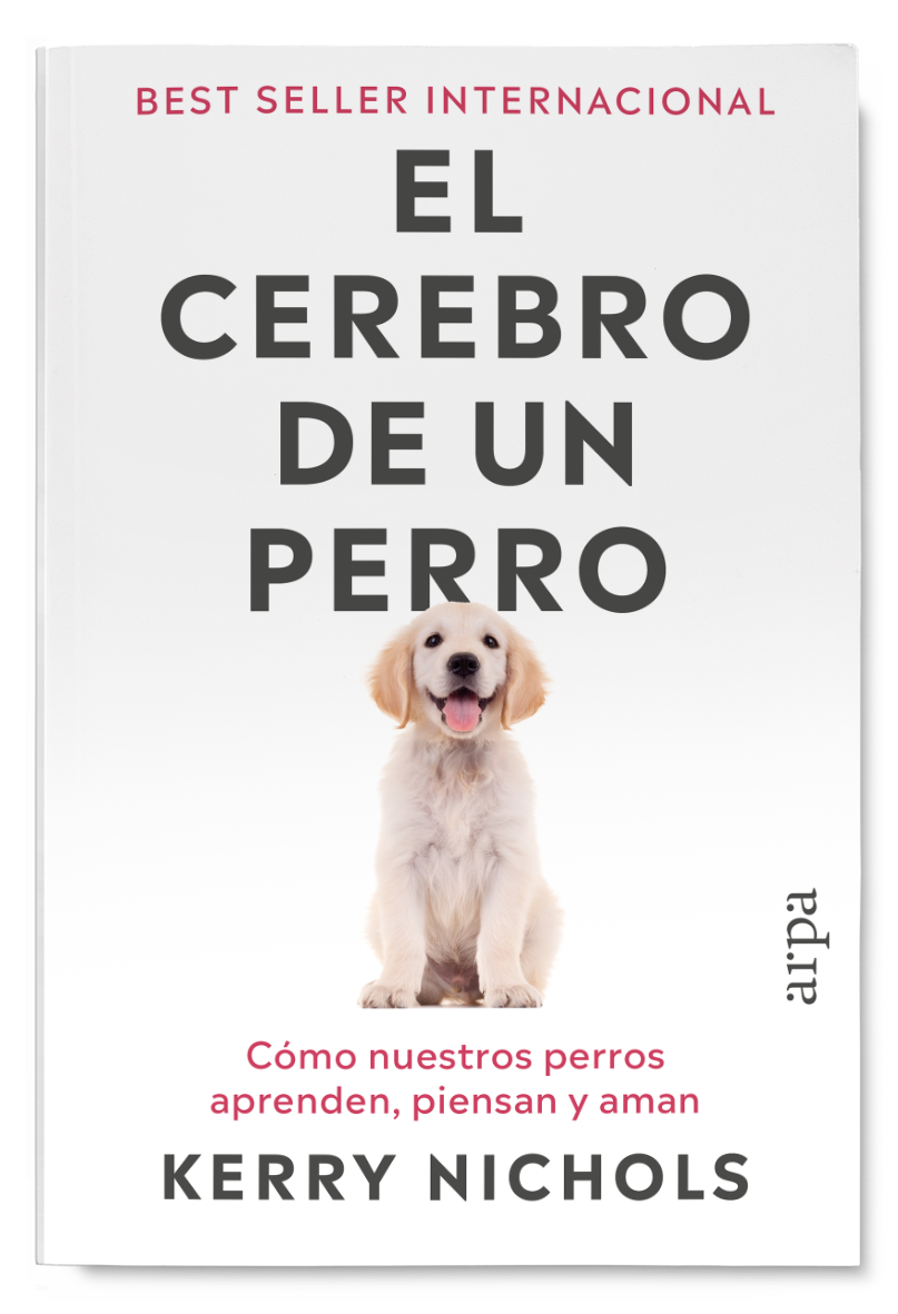 El cerebro de un perro