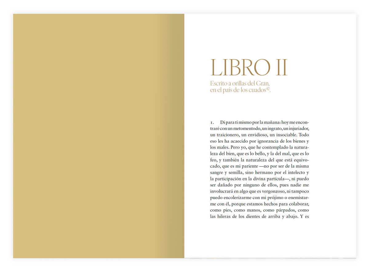 Meditaciones [ed. ilustrada]