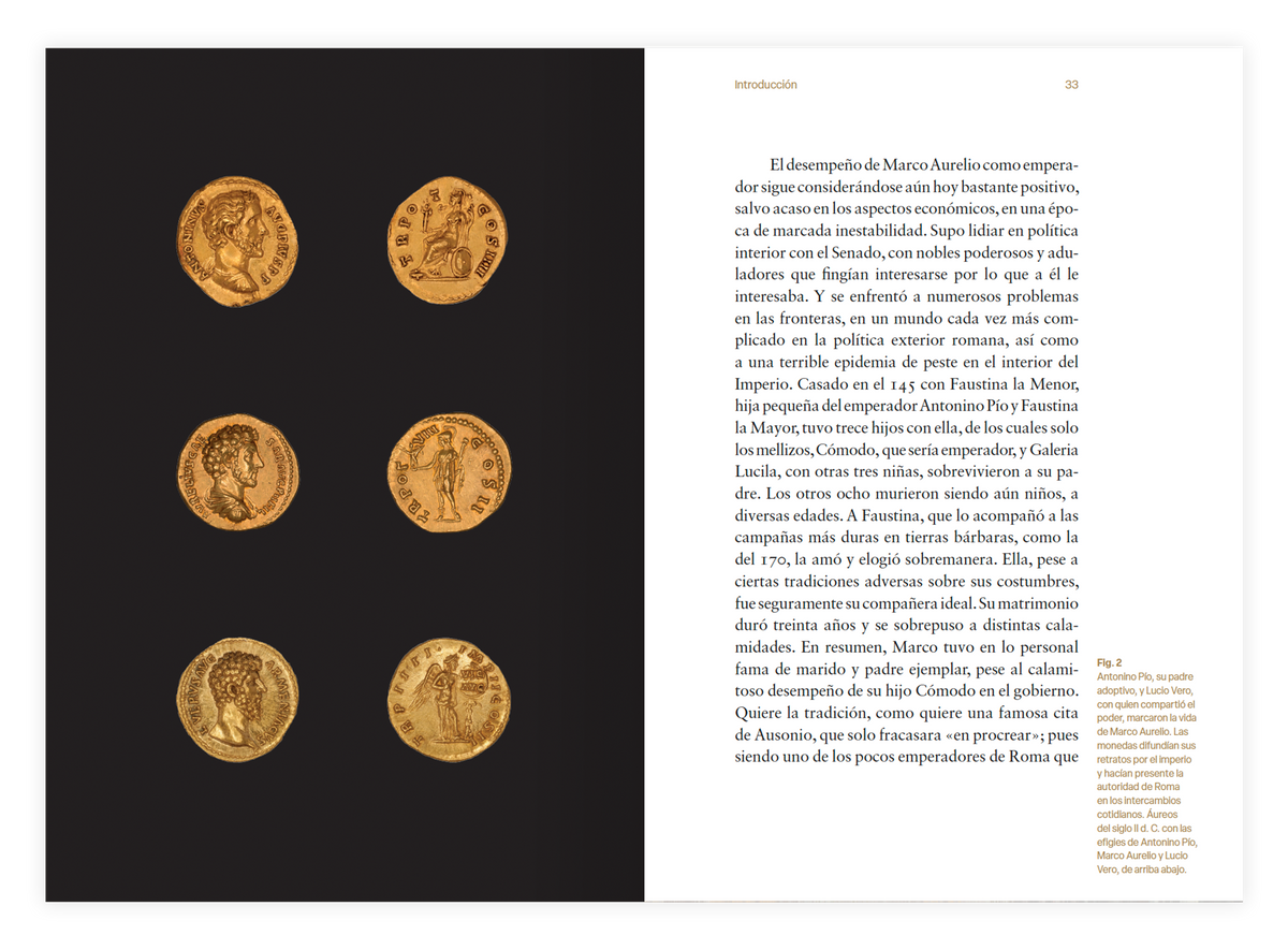 Meditaciones [ed. ilustrada]