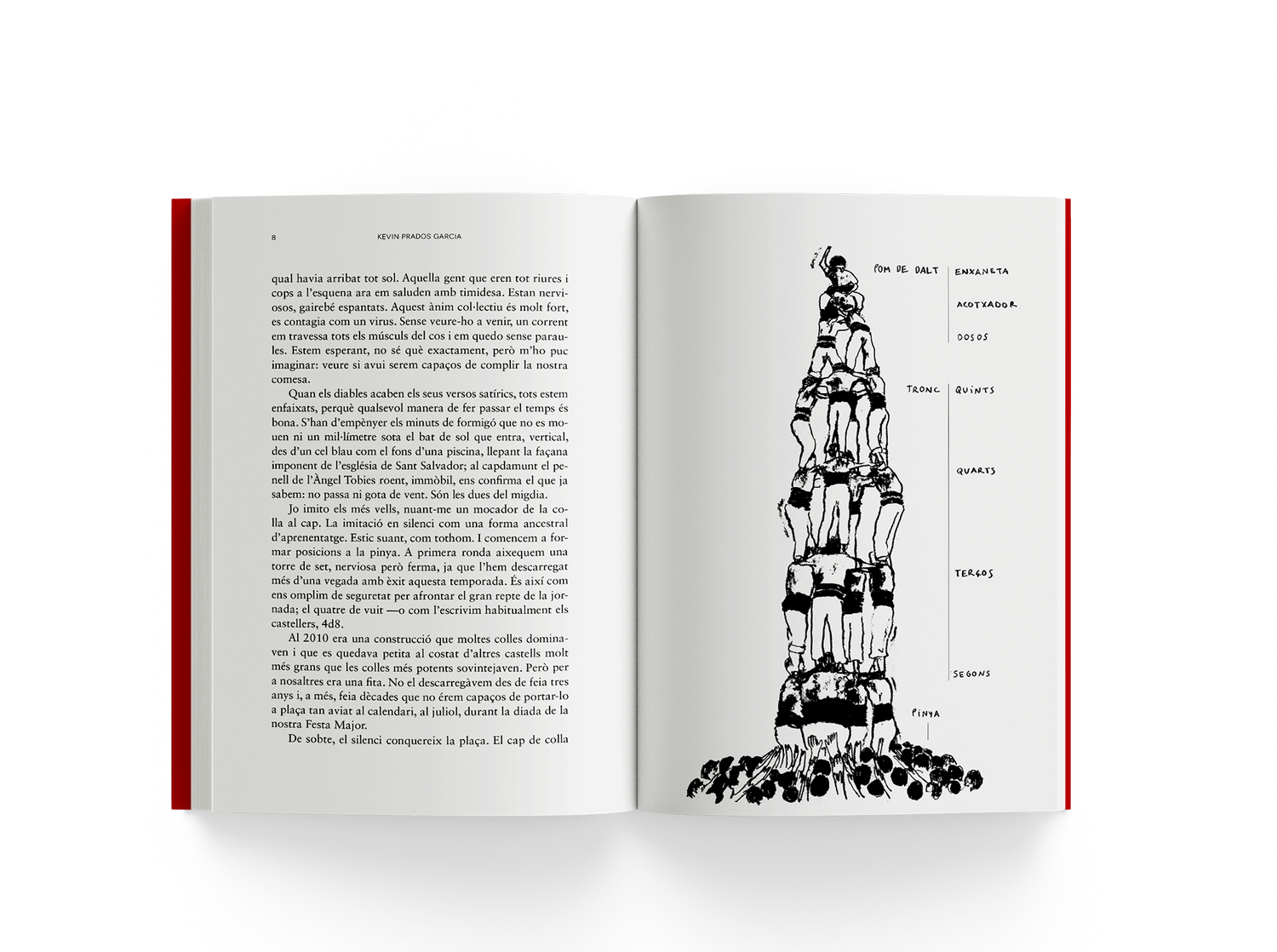 Contra la gravetat. La filosofia dels castellers