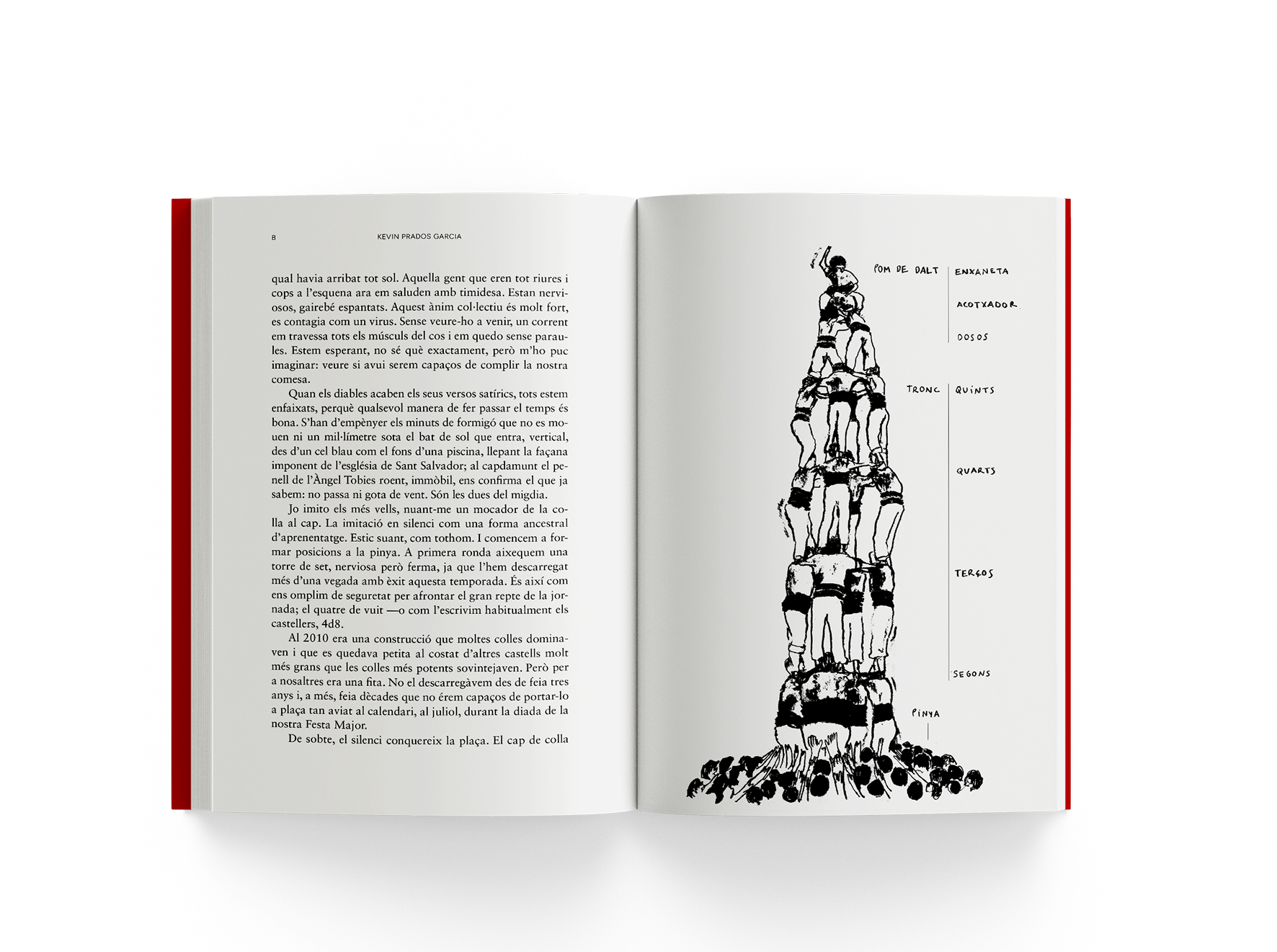 Contra la gravetat. La filosofia dels castellers