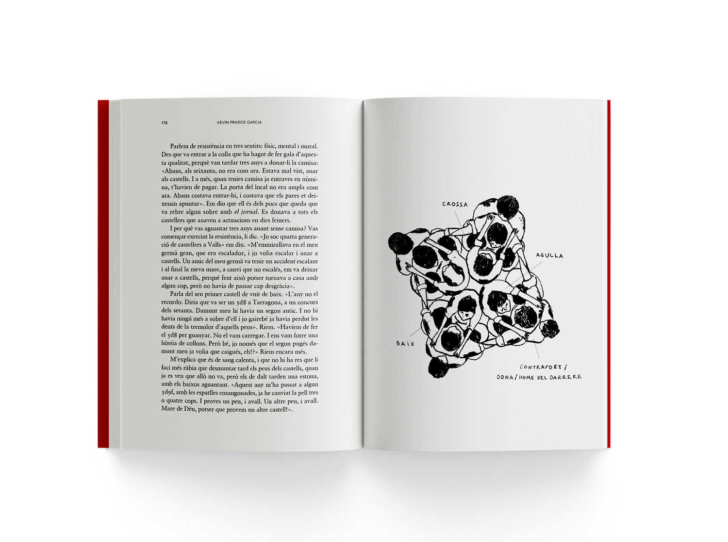 Contra la gravetat. La filosofia dels castellers