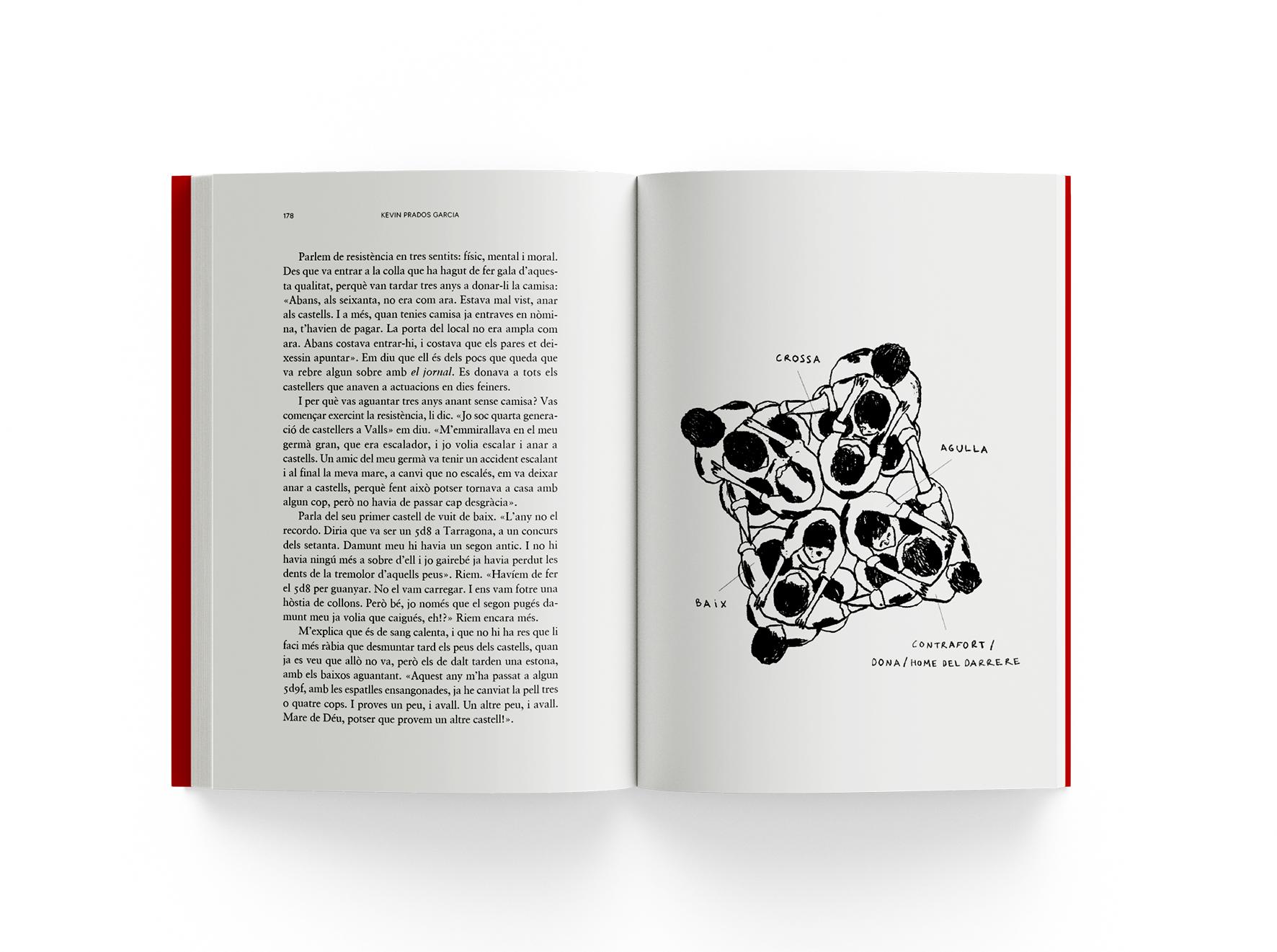 Contra la gravetat. La filosofia dels castellers