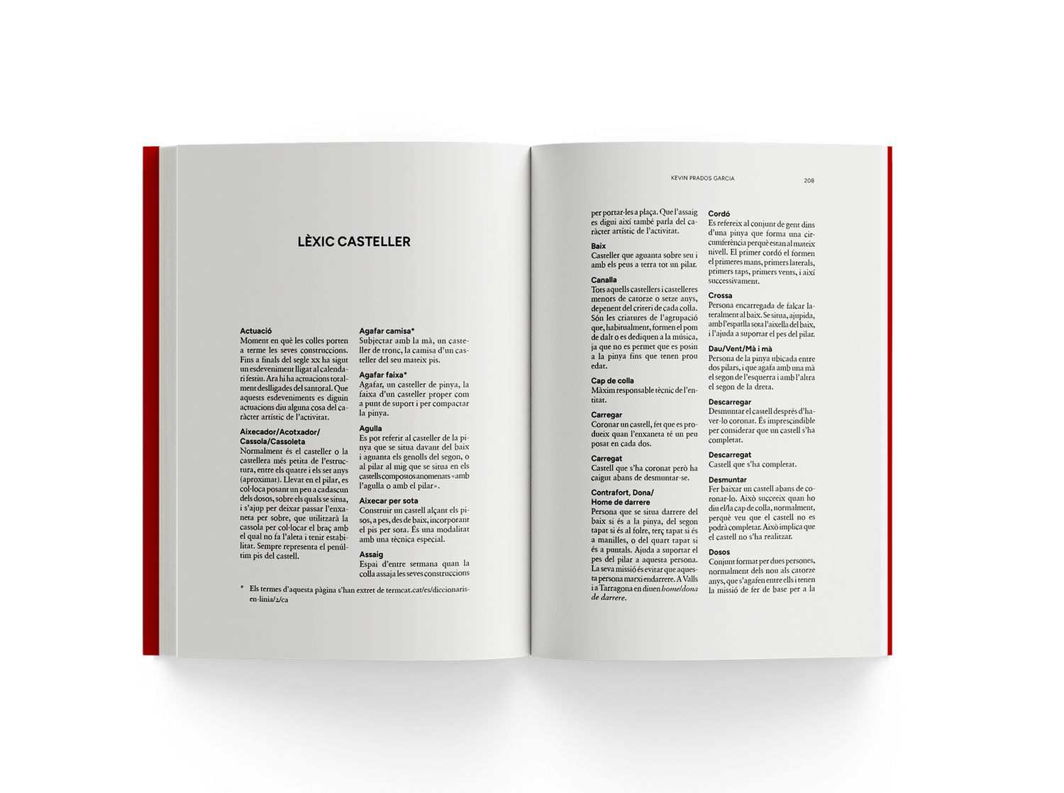 Contra la gravetat. La filosofia dels castellers