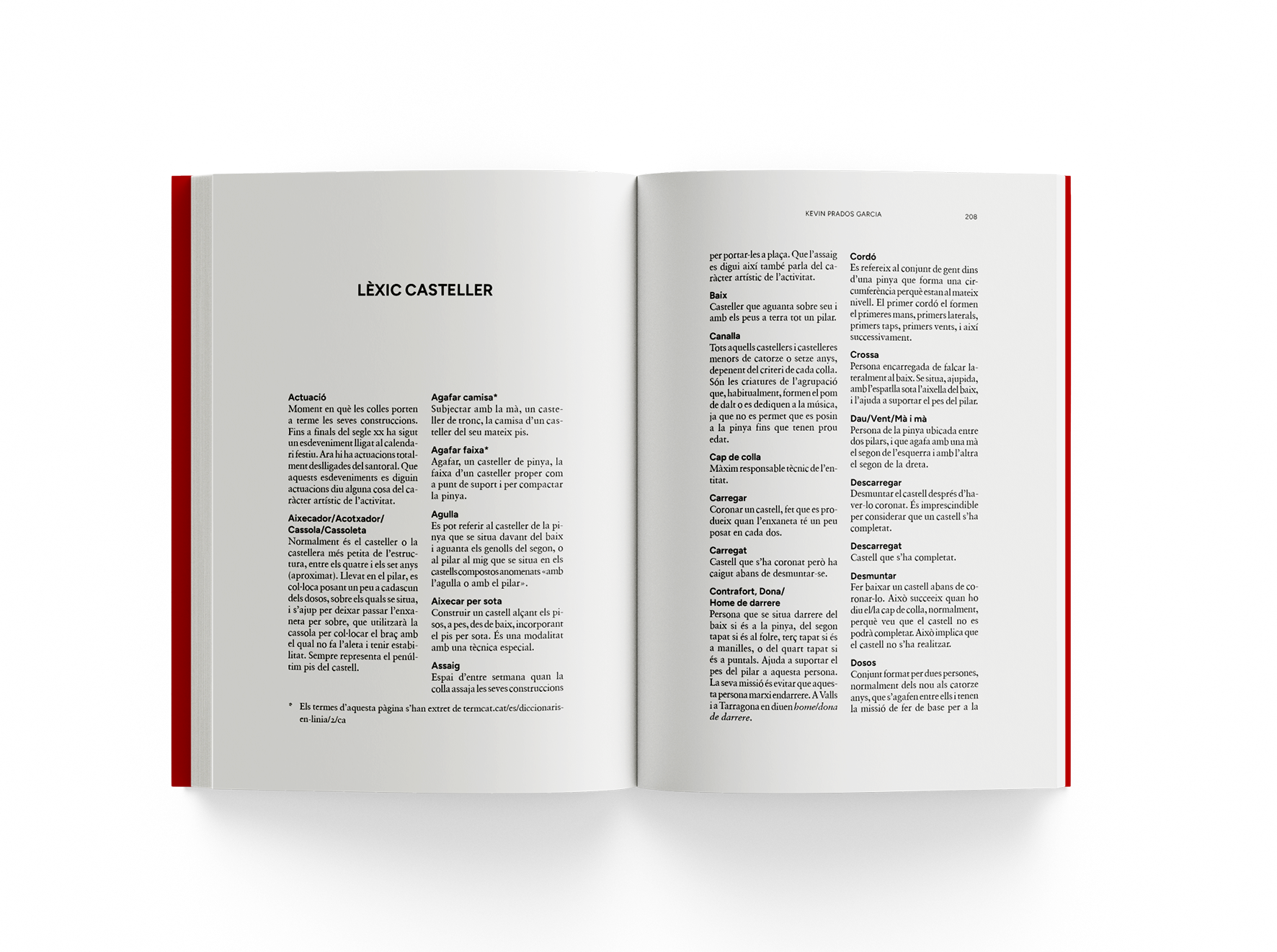 Contra la gravetat. La filosofia dels castellers